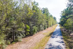 6698 Pine Shadows Rd, Cleveland, TX 77328 - Photo 15