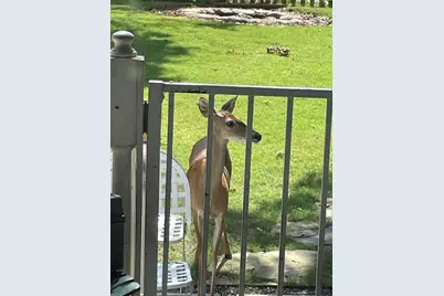 19018 Veterans Road, Magnolia, TX 77355 - Photo 45