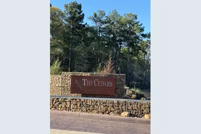 9480 Cedar Creek Lane, Plantersville, TX 77363 - Photo 1