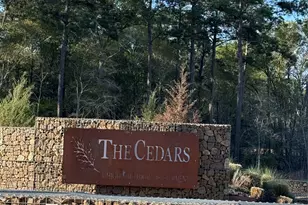 9480 Cedar Crk Ln, Plantersville, TX 77363 - Photo 1