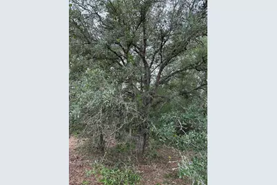 9480 Cedar Creek Lane, Plantersville, TX 77363 - Photo 7