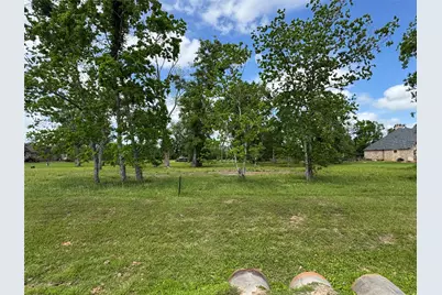 17114 Hamill Drive, Rosharon, TX 77583 - Photo 1
