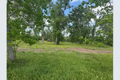 17114 Hamill Drive, Rosharon, TX 77583 - Photo 5
