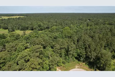 207 Sandpiper Drive, New Waverly, TX 77358 - Photo 9