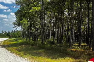 Tbd Trinity Trail, Lovelady, TX 75851 - Photo 1