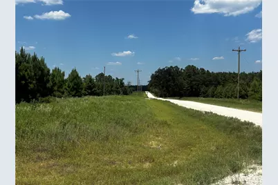 Tbd Trinity Trail, Lovelady, TX 75851 - Photo 5