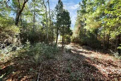 Tr 75 Pr 1318, Centerville, TX 75833 - Photo 15