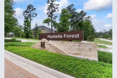 322 Fan Palm Court, Conroe, TX 77318 - Photo 23