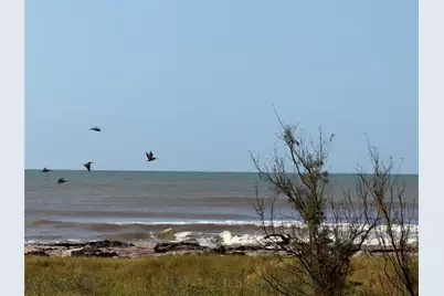 2234 Canal Drive, Sargent, TX 77414 - Photo 3