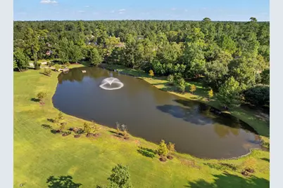 14 Mammoth Springs Court, The Woodlands, TX 77382 - Photo 13