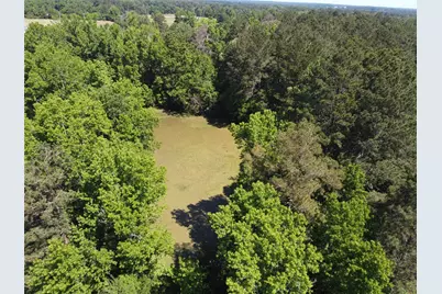 1 Tbd County Road 295, Garrison, TX 75946 - Photo 7