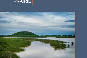 16270 Blue Mistflower Ln, Hockley, TX 77447 - Photo 23