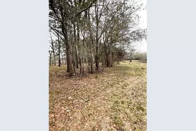 00 Eunice Pvt, Alvin, TX 77511 - Photo 13