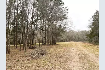 00 Eunice Pvt, Alvin, TX 77511 - Photo 3