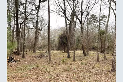 00 Eunice Pvt, Alvin, TX 77511 - Photo 11