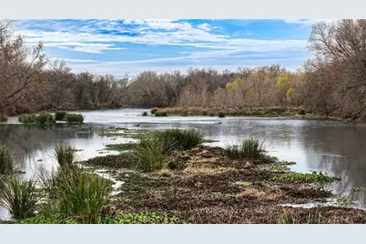 256 Greasy Bend, Smithville, TX 78957 - Photo 15