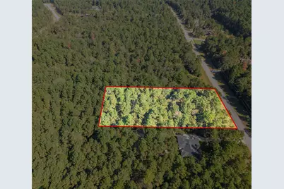 185 Rim Rock Road, Huntsville, TX 77340 - Photo 15