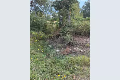 Tbd Fm-1010, Cleveland, TX 77327 - Photo 9