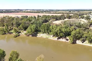 7738 Fm 331 Rd, Bellville, TX 77418 - Photo 9