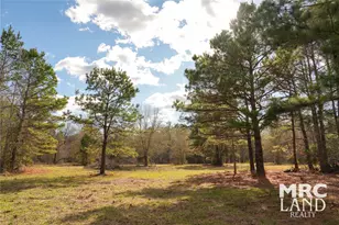 00 Sam Rayburn Parkway, Colmesneil, TX 75951 - Photo 21