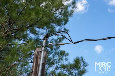 00 Sam Rayburn Pkwy, Colmesneil, TX 75951 - Photo 15