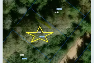 Tbd Holly Springs Drive, Hilltop Lakes, TX 77871 - Photo 1