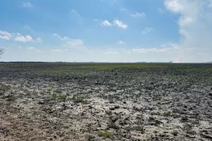 Tbd Lot 4 County Road 414, El Campo, TX 77437 - Photo 7