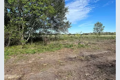 015 County Road 158, Alvin, TX 77511 - Photo 5