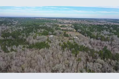 Tbd24 Ac County Road 2240, Grapeland, TX 75844 - Photo 3
