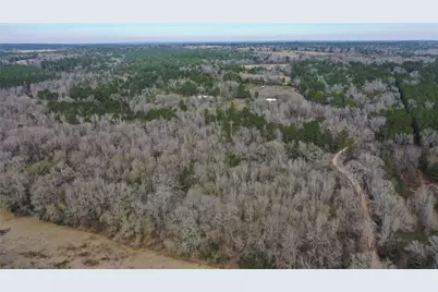 Tbd24 Ac County Road 2240, Grapeland, TX 75844 - Photo 5