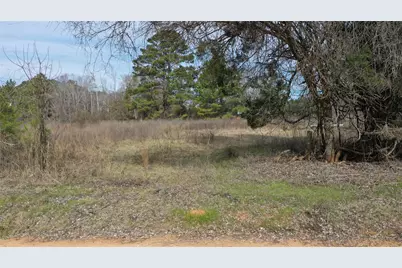 Tbd24 Ac County Road 2240, Grapeland, TX 75844 - Photo 11