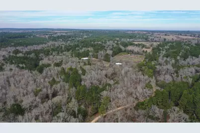 Tbd24 Ac County Road 2240, Grapeland, TX 75844 - Photo 7