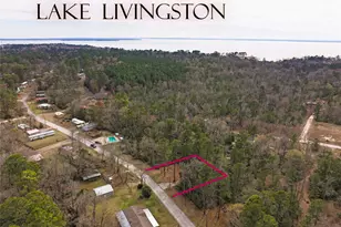 294 & 306 Impala Dr, Onalaska, TX 77360 - Photo 1