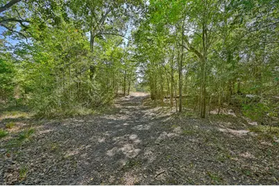 Tbd Ullrich Road, Carmine, TX 78932 - Photo 7