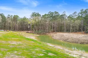 180 Jordan Rd, Point Blank, TX 77364 - Photo 27