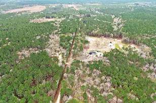 180 Jordan Rd, Point Blank, TX 77364 - Photo 37