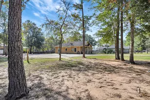 25896 E Lake View Ct, Hockley, TX 77447 - Photo 47