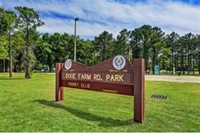 10338 Sierra Grace Lane, Houston, TX 77089 - Photo 29