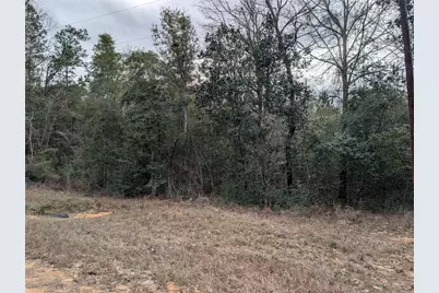 0 Road 2723, Cleveland, TX 77327 - Photo 3