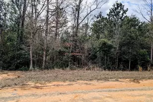 0 Rd 2723, Cleveland, TX 77327 - Photo 1