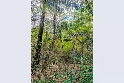0 Road 2723, Cleveland, TX 77327 - Photo 11