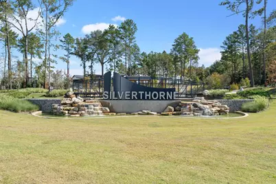 946 Sutherland Falls Street, Conroe, TX 77303 - Photo 23