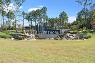 946 Sutherland Fls St, Conroe, TX 77303 - Photo 23