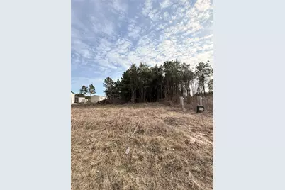 10024 Road 5868, Dayton, TX 77535 - Photo 3