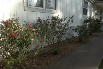 25111 Alamoway, Magnolia, TX 77355 - Photo 33