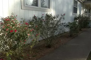 25111 Alamo Way, Magnolia, TX 77355 - Photo 33