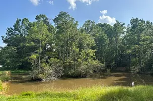 25111 Alamo Way, Magnolia, TX 77355 - Photo 25