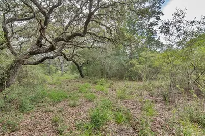 Tract 12 Pr 4061, Edna, TX 77957 - Photo 3