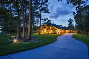 28733 Lakeside Green, Magnolia, TX 77355 - Photo 3
