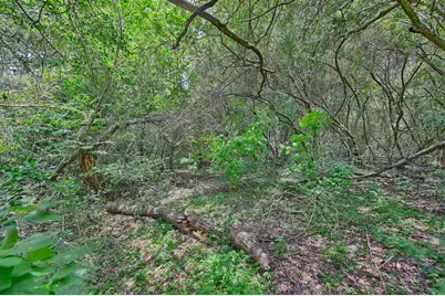 3844 Highway 36 N, Bellville, TX 77418 - Photo 37